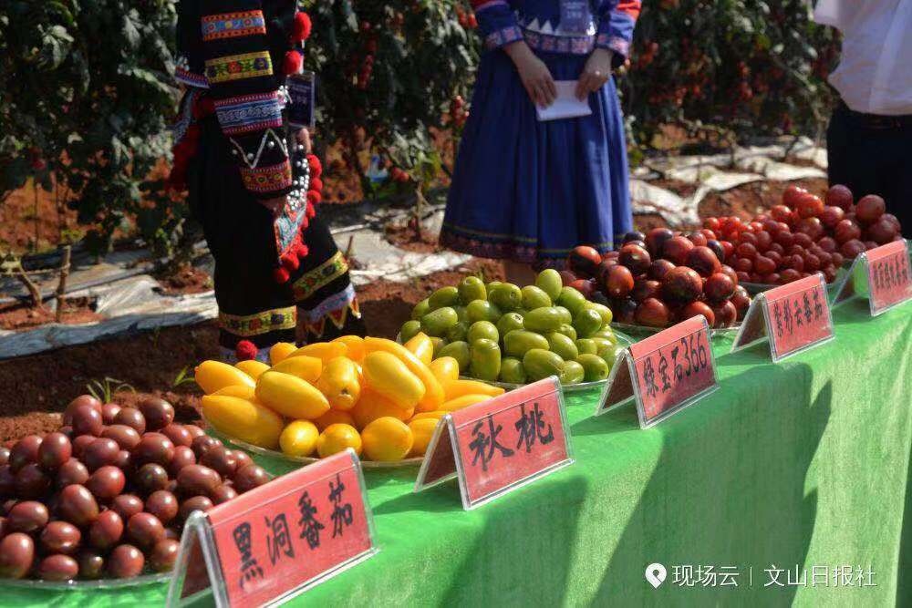 微信图片_20190813165522.jpg
