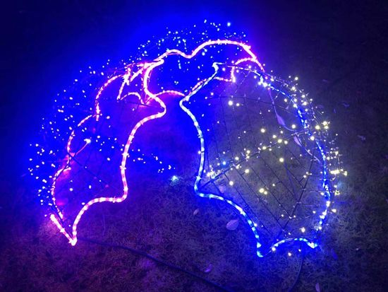夜未央不夜城图片4.jpg