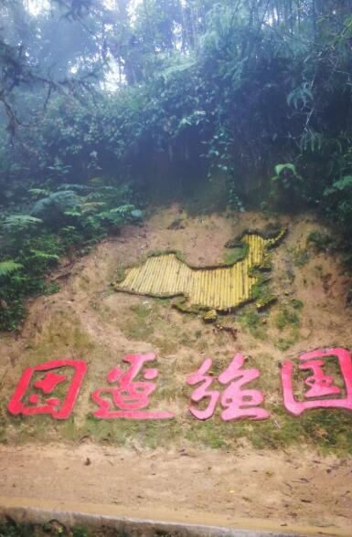 QQ截图20190912081345.jpg
