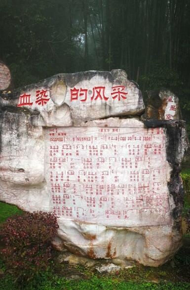 QQ截图20190912081546.jpg