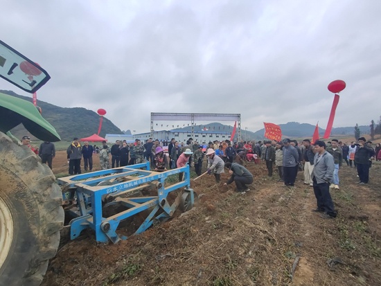 机械化采收大大提高工作效率.jpg