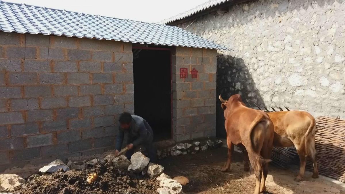 暴风截图201911252611690.jpg