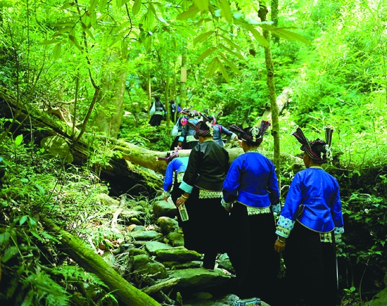 花街节登山赏景.jpg