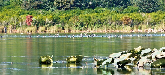 zy05.jpg