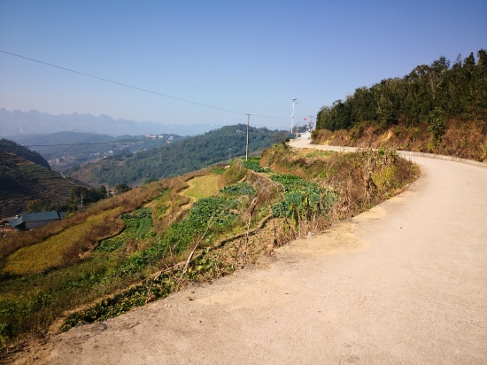 南油新寨,五条创新路,筑就小康梦IMG_20191211_111317.jpg