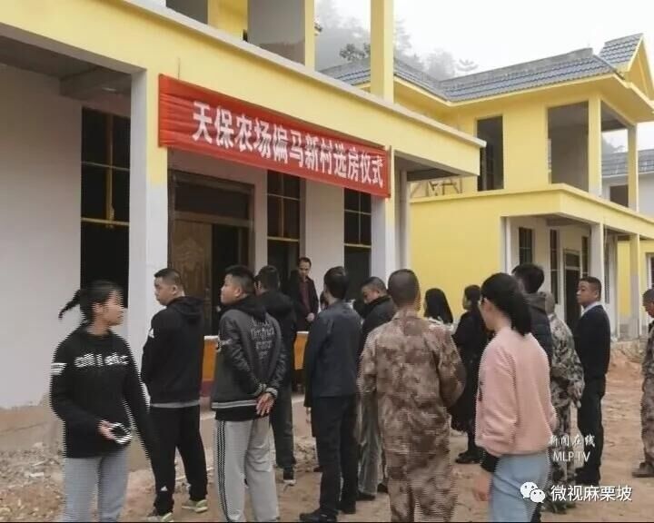 QQ图片20200106112145.jpg