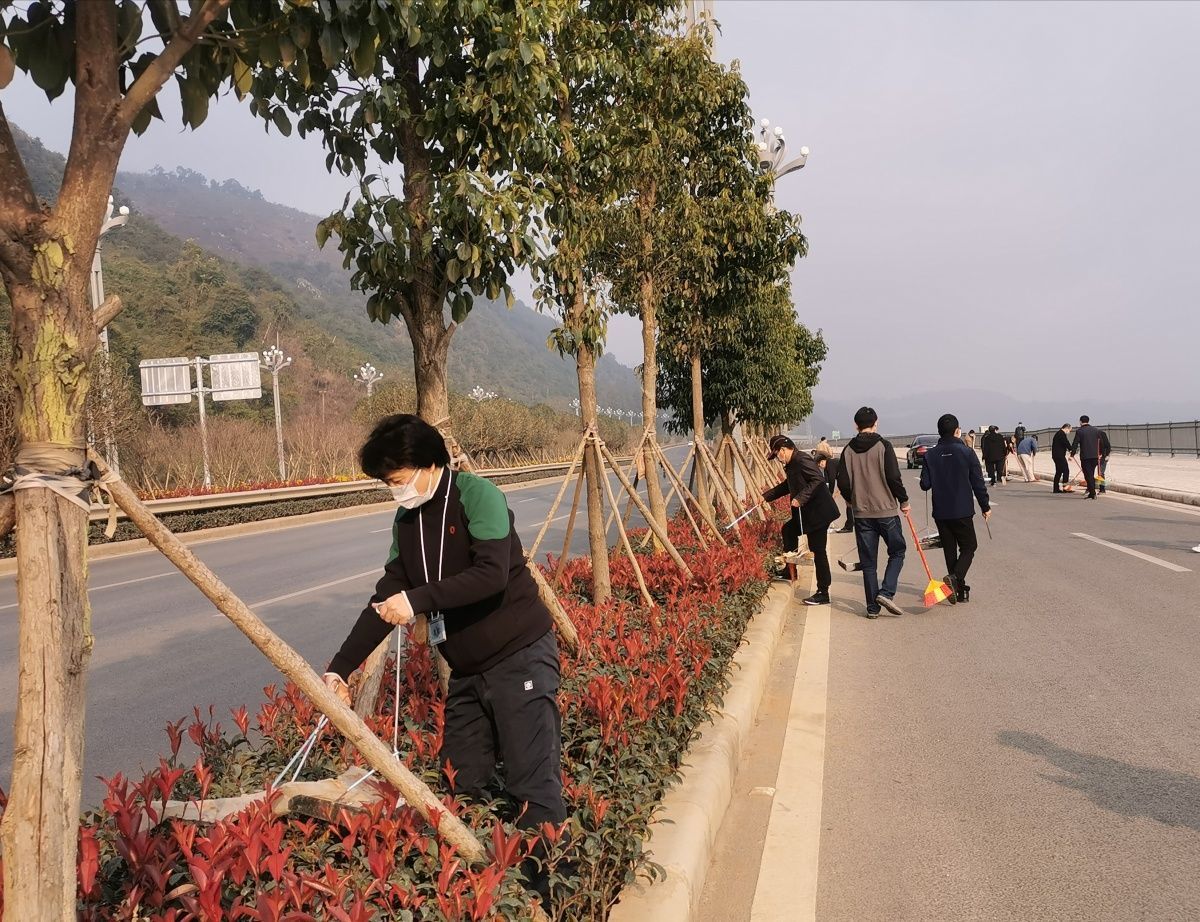 QQ图片20200215111216.jpg