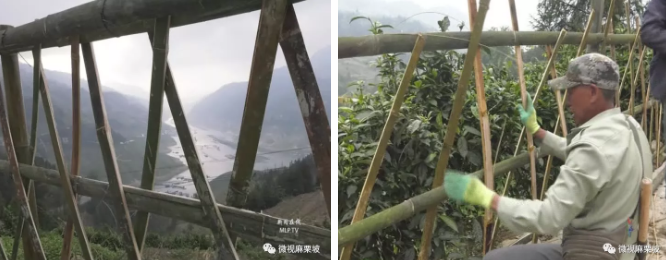 正在上传...