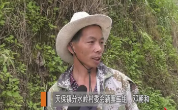正在上传...