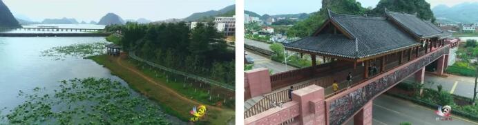QQ截图20200515165317.jpg