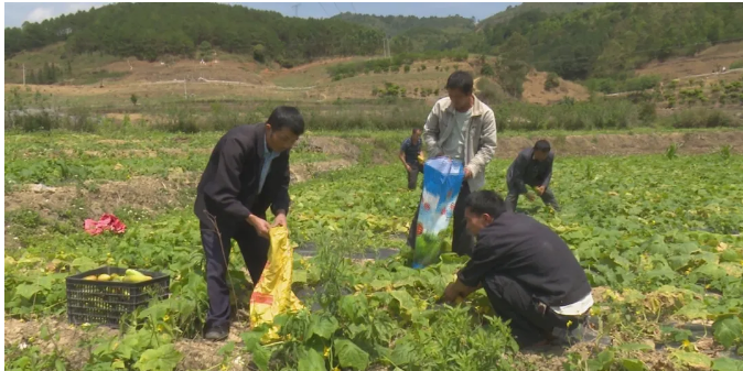 正在上传...
