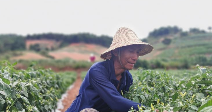 正在上传...