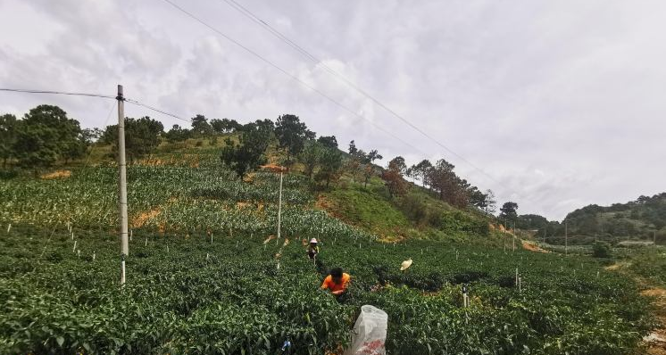 正在上传...