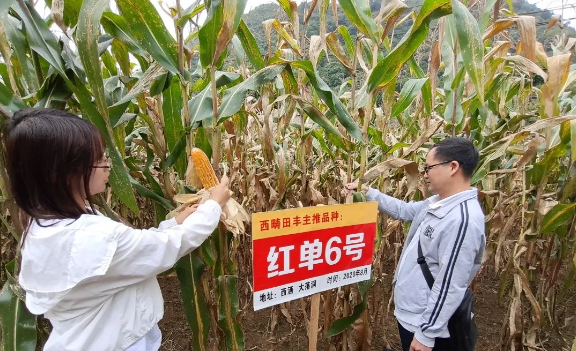 正在上传...