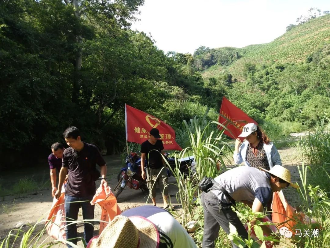 清河行动.jpg