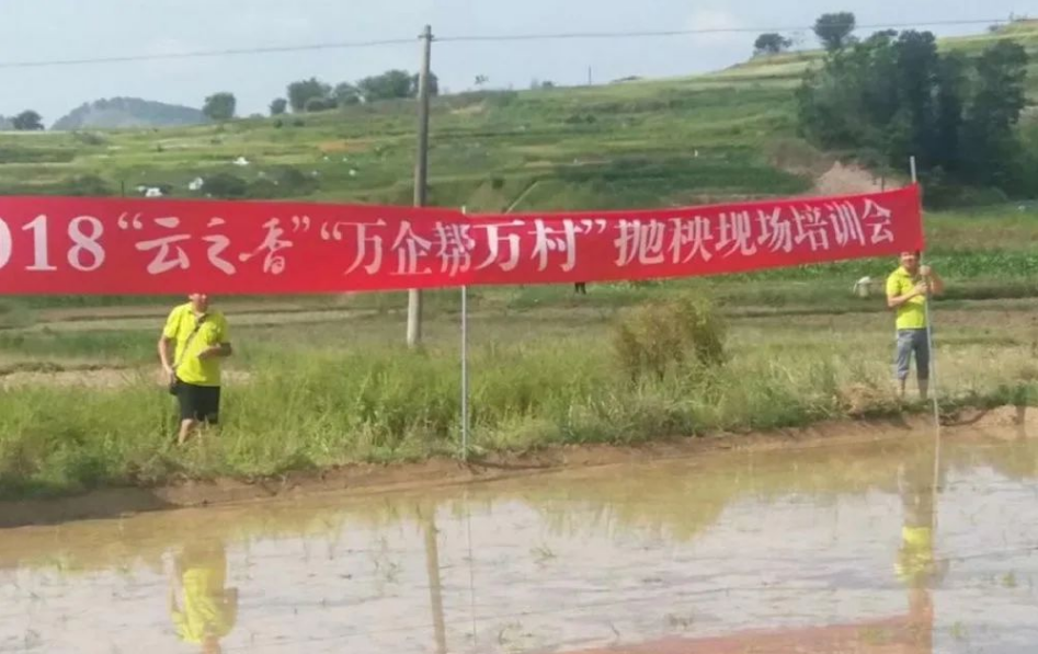 正在上传...