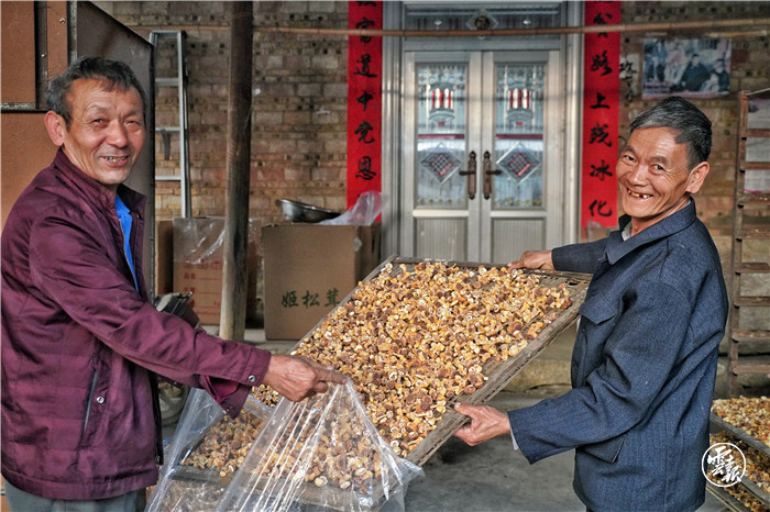 巴西菇产业带动村民增收,也带来了幸福笑脸 刘珈彤 摄.jpg