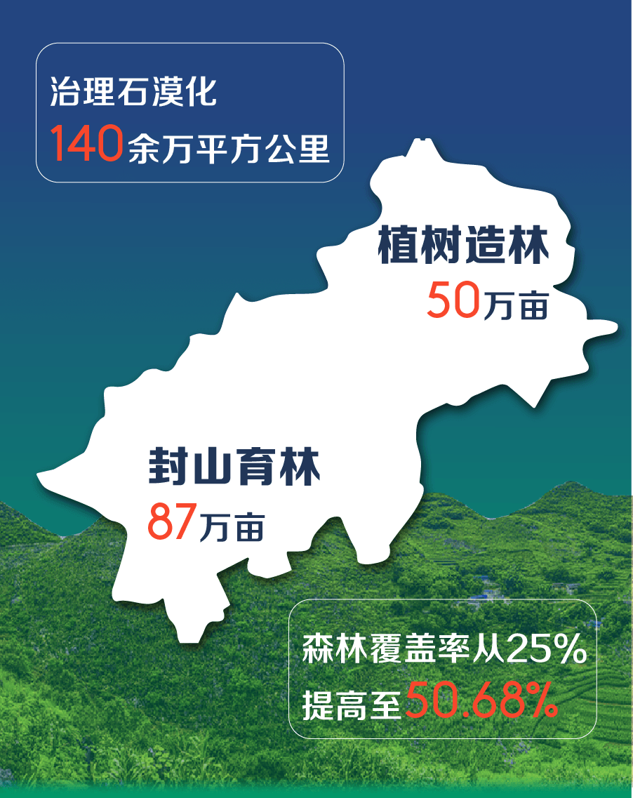 画板 401.png