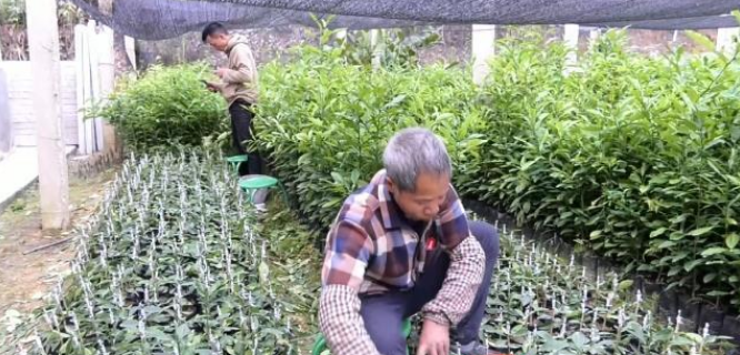 正在上传...