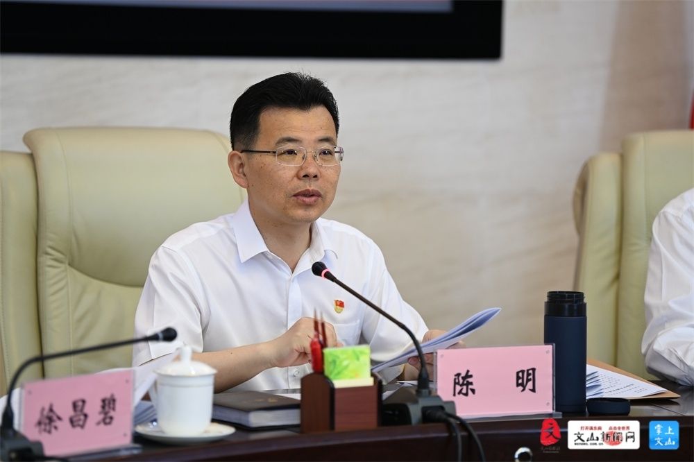 陈明讲话1.JPG