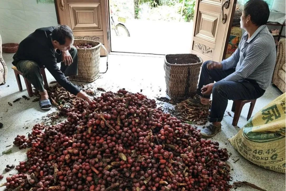 正在上传...