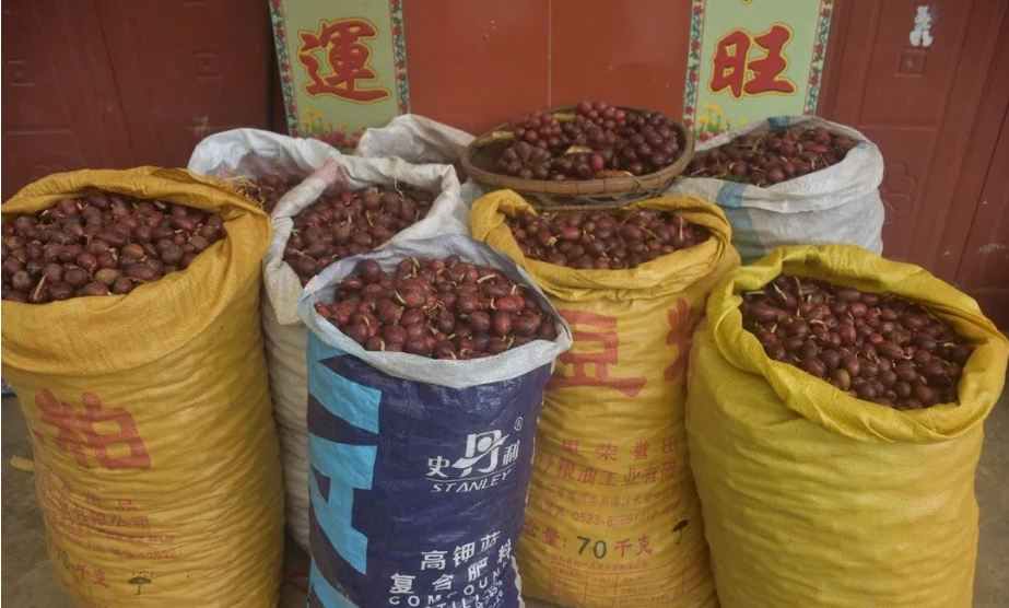 正在上传...