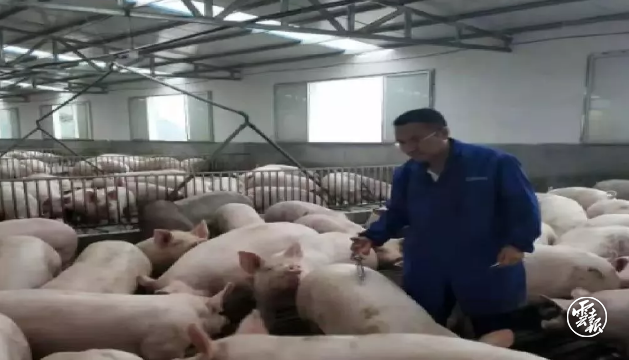 微信截图_20201122202000.png