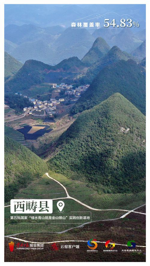 西畴.jpg