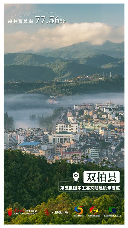 双柏.jpg