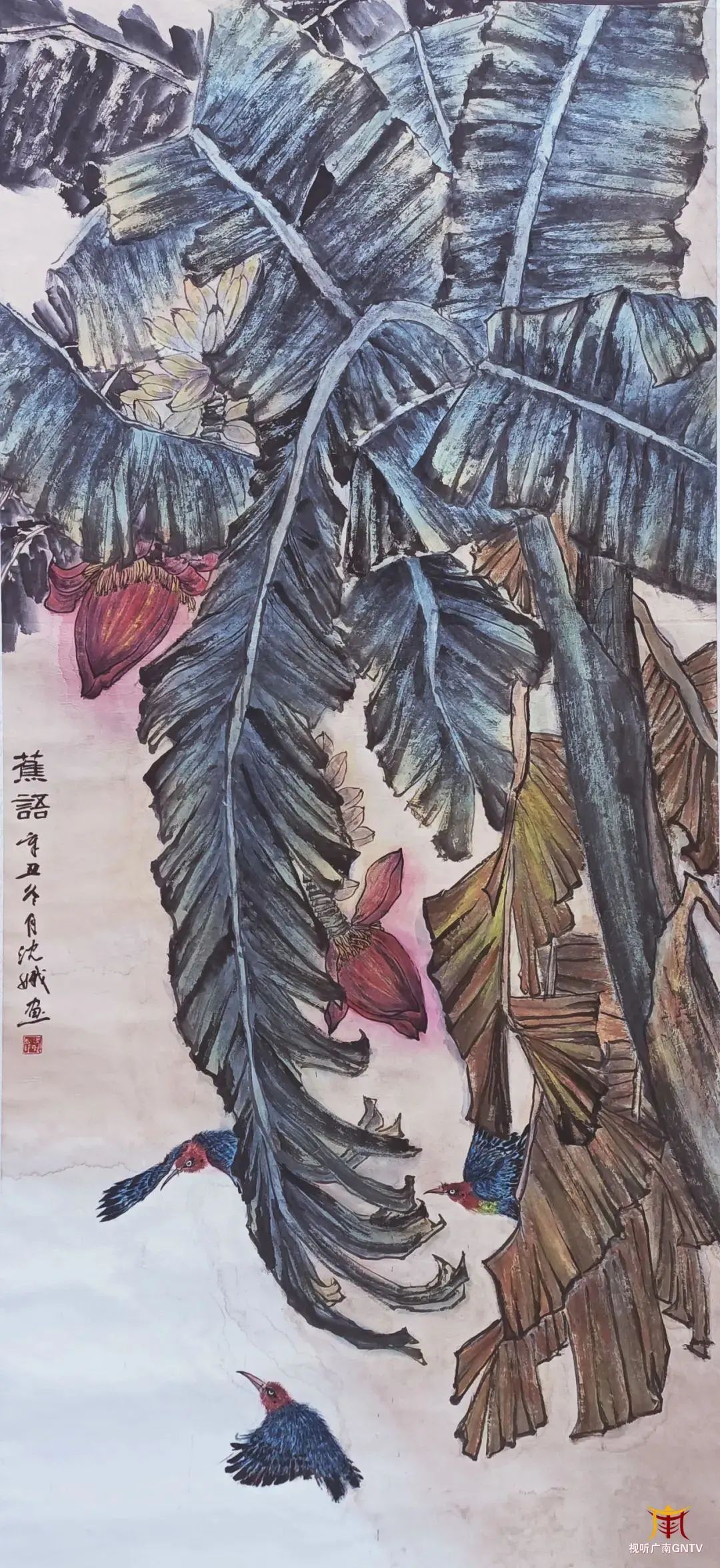 图片