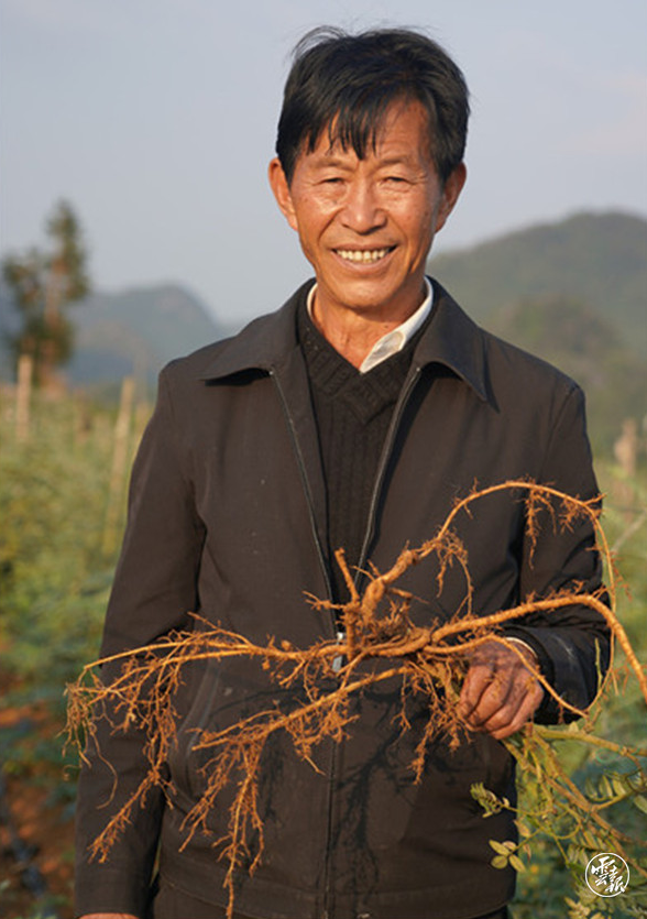code_ynrb03202d81-c475-429a-8874-7bb2f90ae641.png 图片