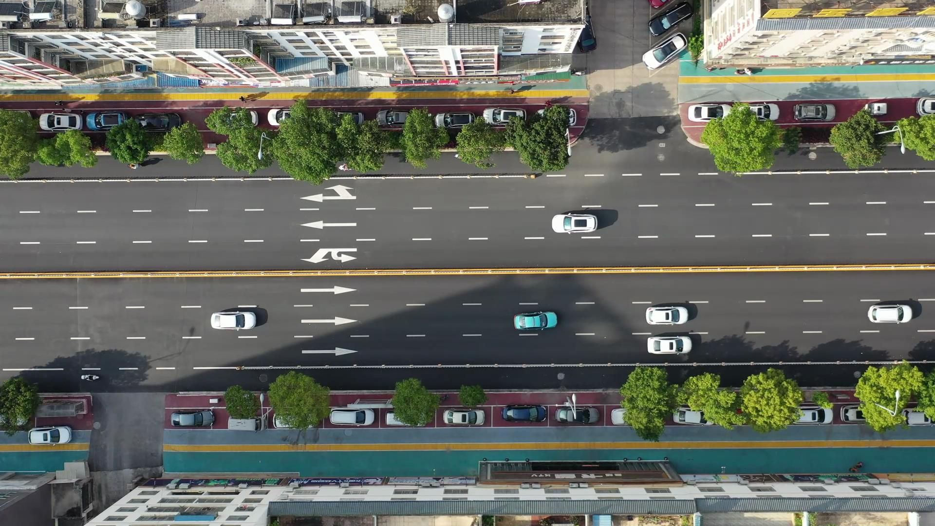 七花南路（新民路至东文路） (1).jpg