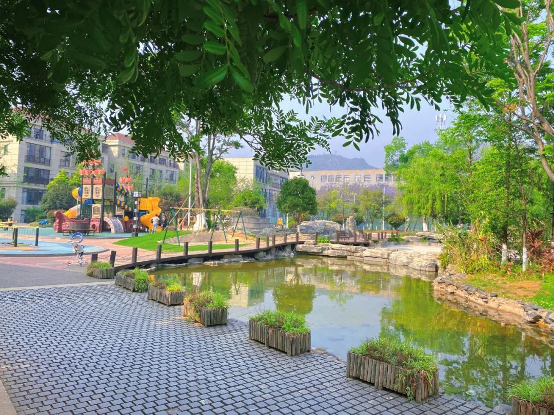 文山市：小区秀美如画7.jpg