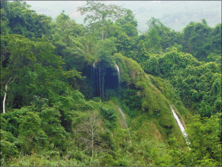 麻栗坡老山省级自然保护区.png