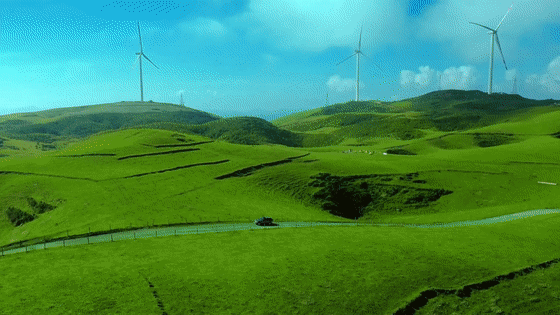 4.gif