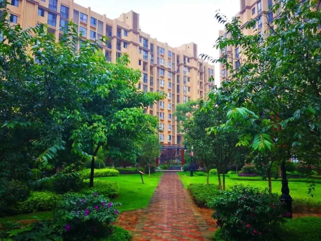 文山市：小区秀美如画9.jpg