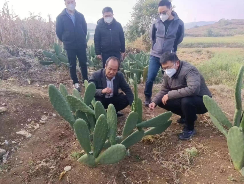 正在上传...