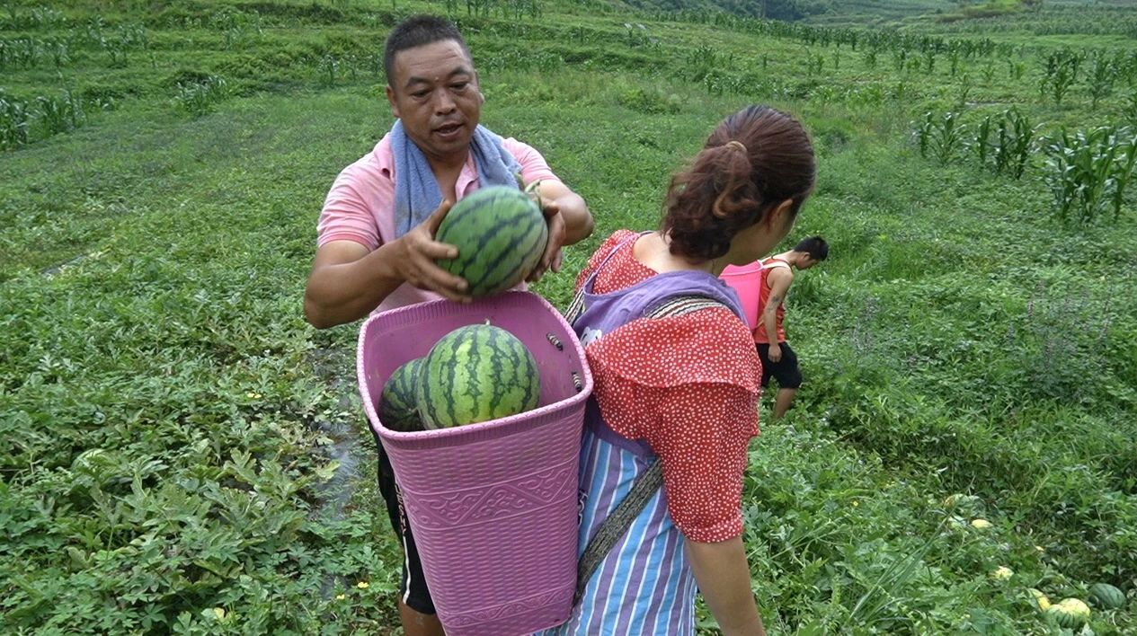 4.jpg 4.jpg