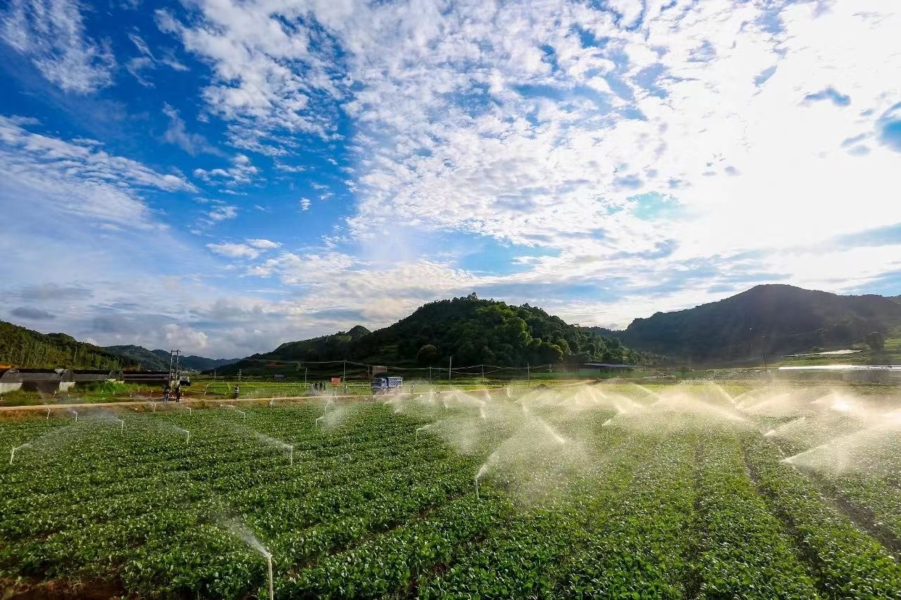 蔬菜基地3喷灌.jpg