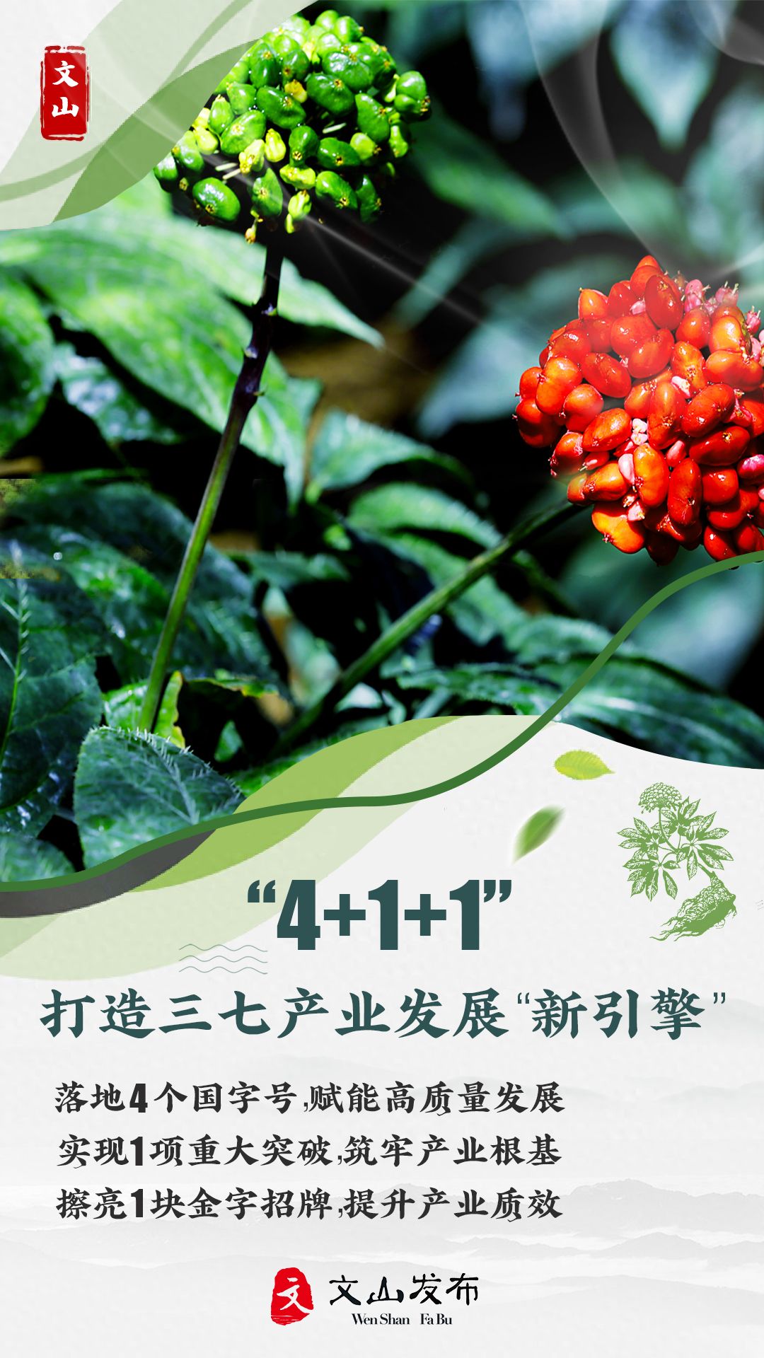 未标题-2 拷贝.jpg 未标题-2 拷贝.jpg