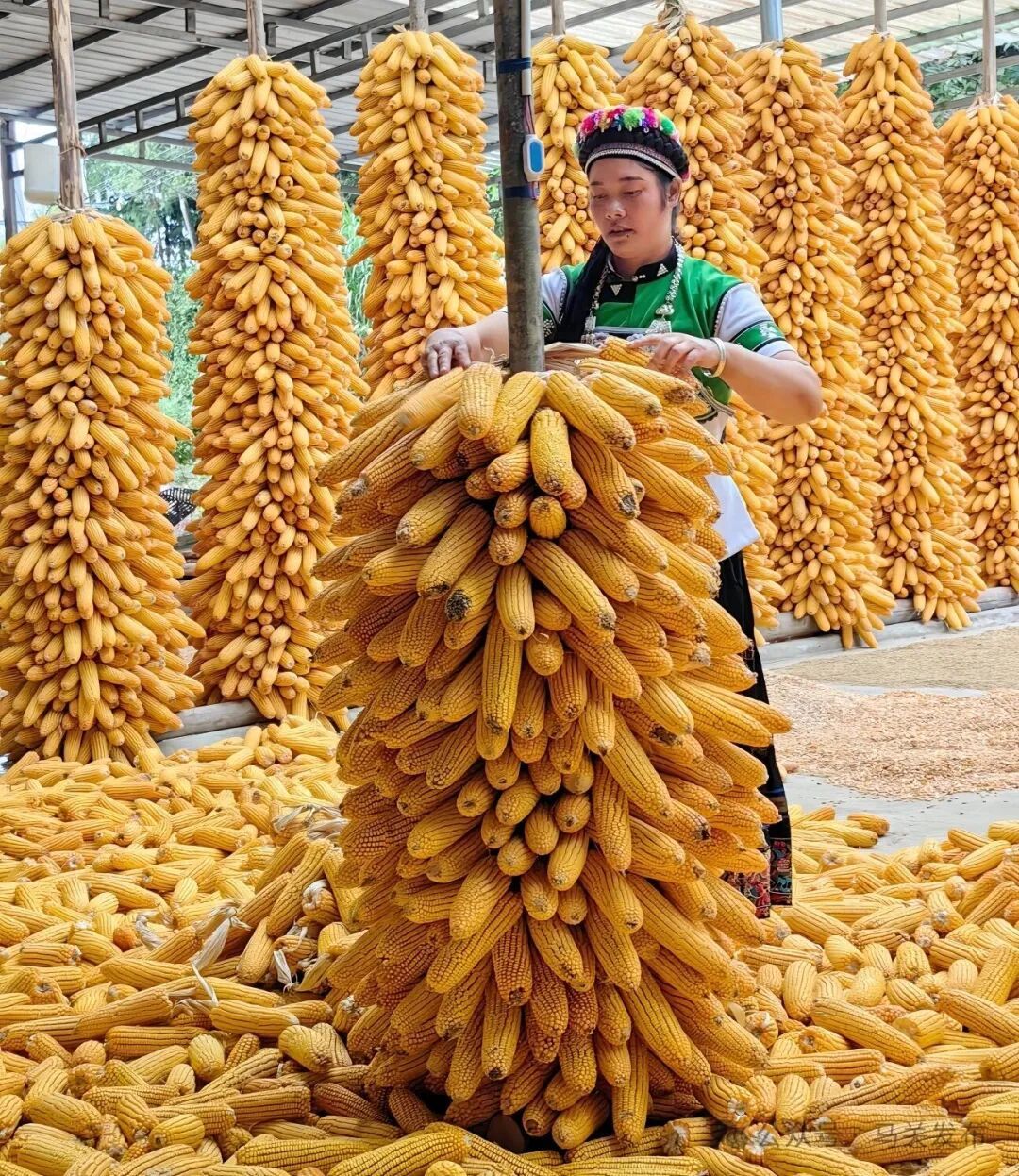 微信图片_20250904150956_871_2.jpg