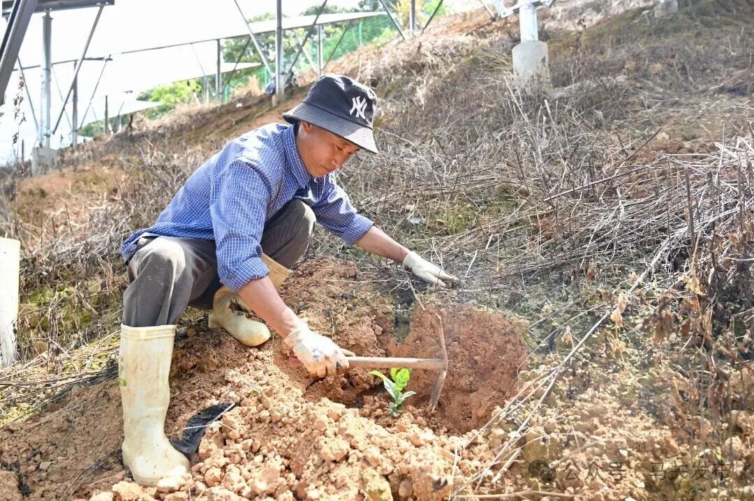 2025.8 -马关吉龙光伏电站-满俊杰拍摄 (21).jpg