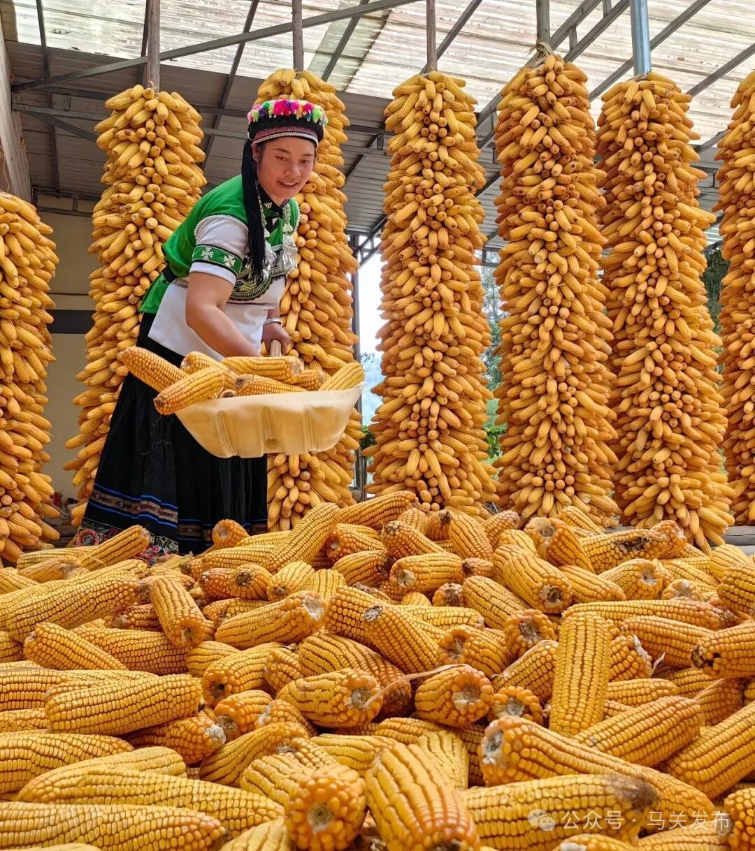 微信图片_20250904151008_872_2.jpg