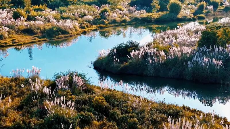 治愈系晚秋，藏在普者黑的山水里丨旅居云南 好在文山