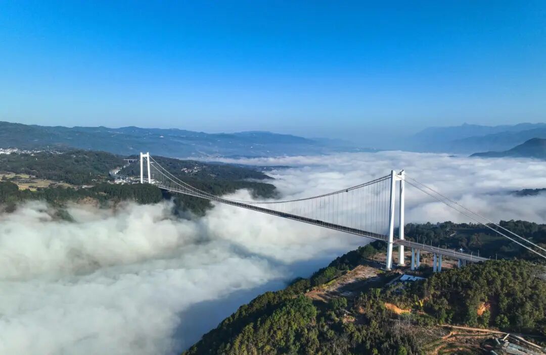 图片说明：宛如钢铁巨龙的保山龙江特大桥横跨云海。保山市委宣传部供图.jpg
