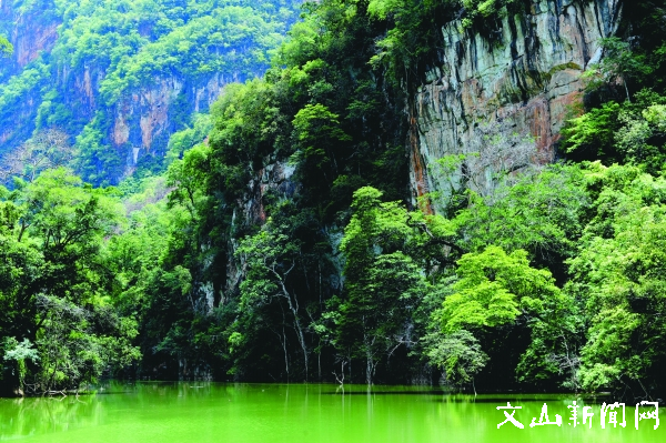 富宁南利河