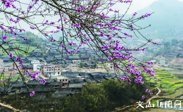 壮乡民居