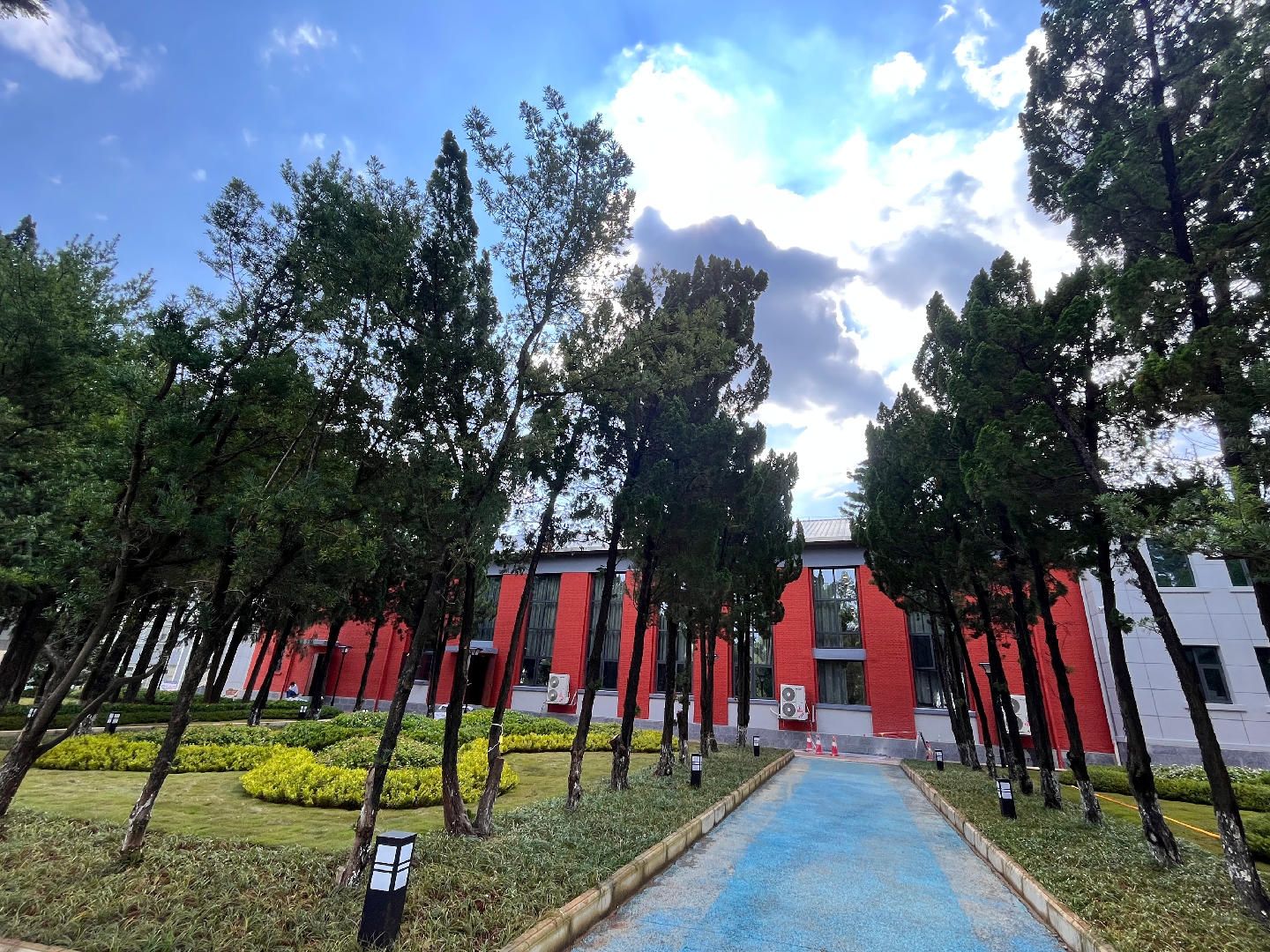 绿美校园