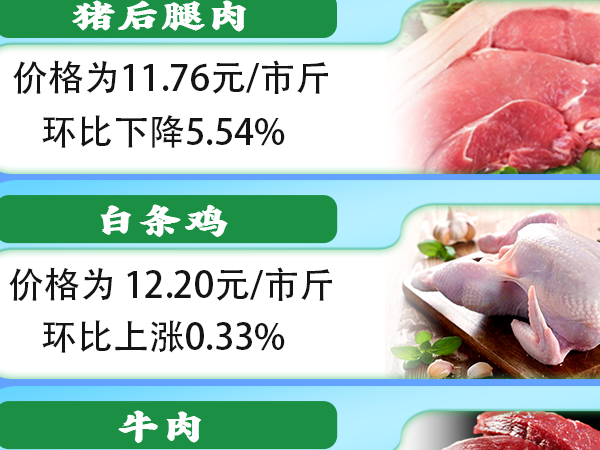 3月，文山州果价上涨，菜价下降