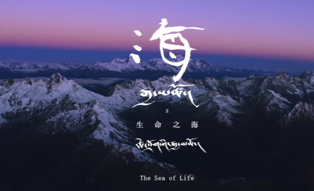纪录片：生命之海